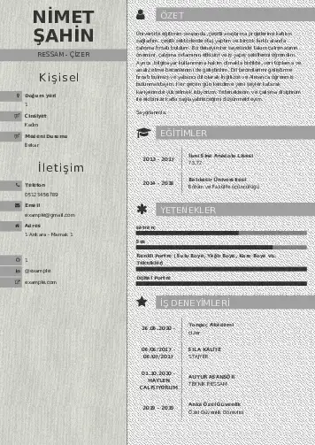 Ressam Cv Örnekleri cv indir